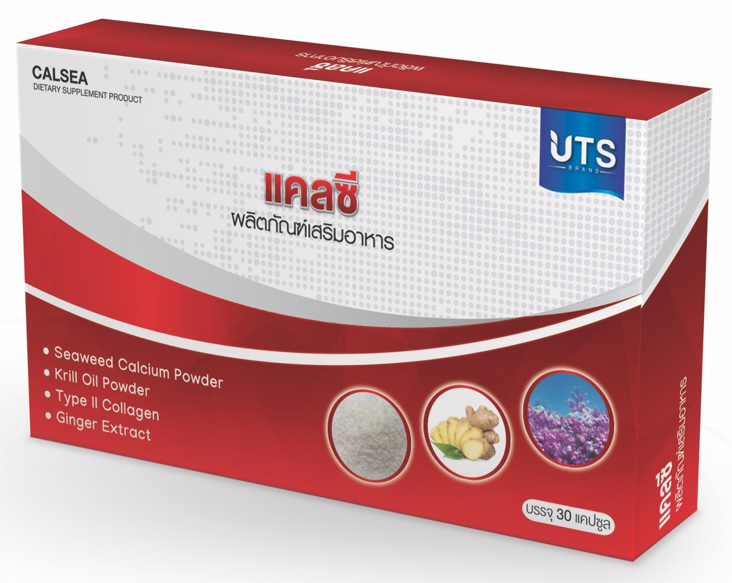 แคลซี Calsea